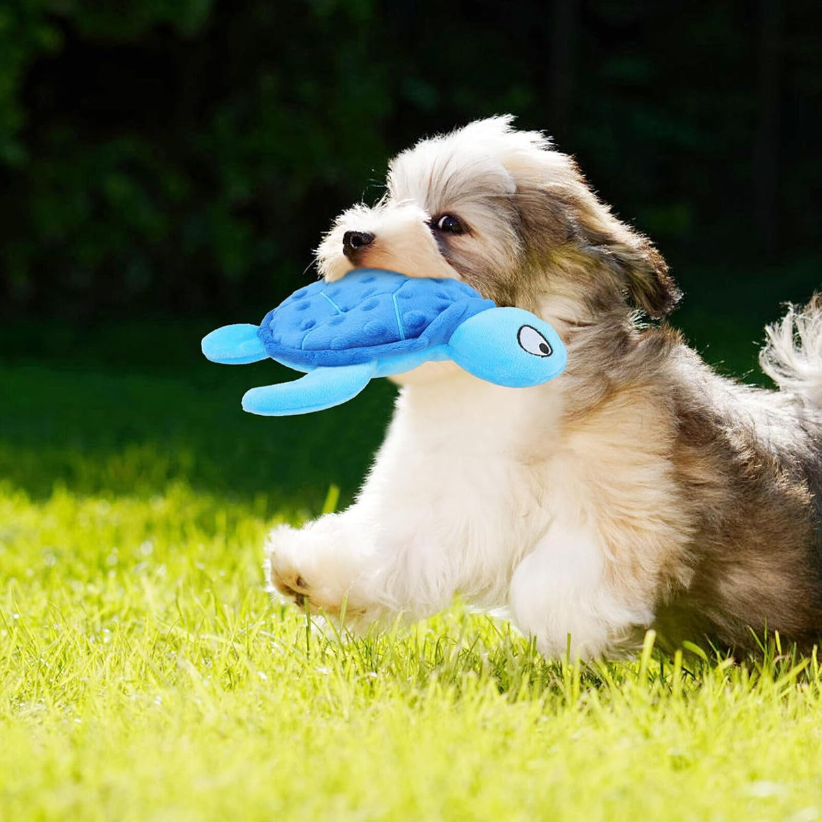 Puppy running with a sea turtle toy