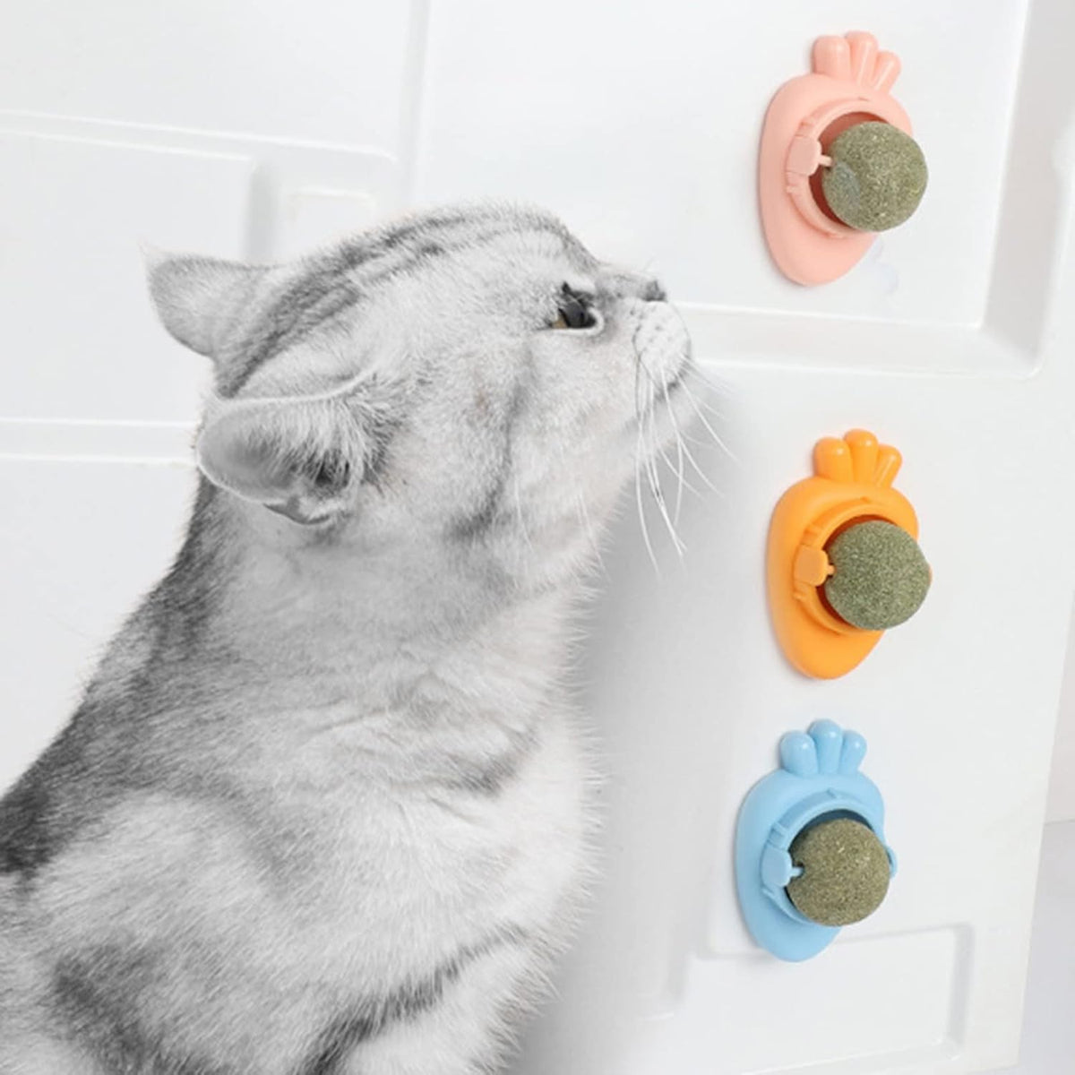 Cat licking a carrot catnip ball stuck to the wall